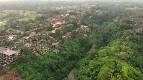 Vista aérea del paseo de los artistas Campuhan Ridge Walk en el pueblo de Ubud, isla de Bali — Vídeo de stock