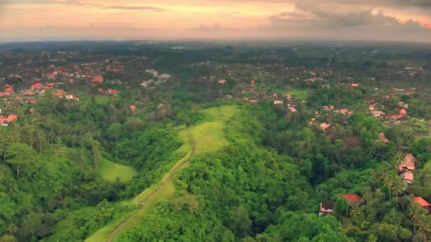 Vista aérea dos artistas Caminhe Campuhan Ridge Walk na aldeia de Ubud, ilha de Bali — Vídeo de Stock