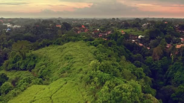 Vista aérea del paseo de los artistas Campuhan Ridge Walk en el pueblo de Ubud, isla de Bali — Vídeos de Stock