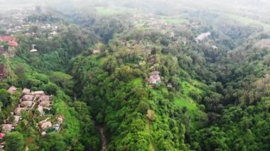 Sanatçıların Ubud köyü, Bali adasındaki Campuhan Tepesi Yürüyüşü 'nün hava görüntüsü