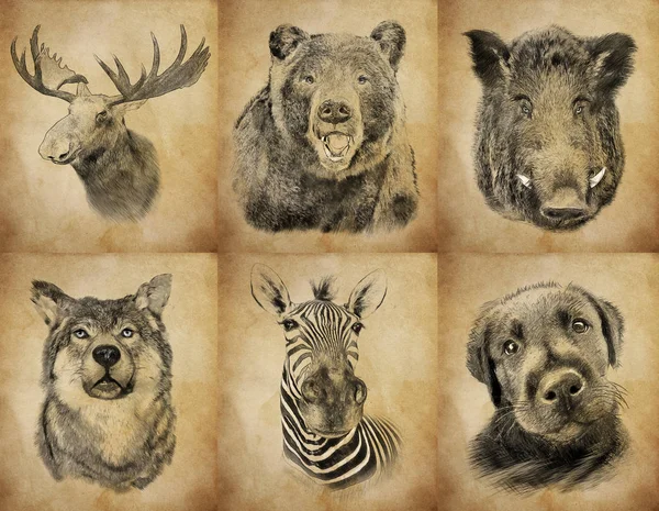 Ambientada Animales Sobre Fondo Vintage Ilustración Dibujo Estilo Boceto — Foto de Stock