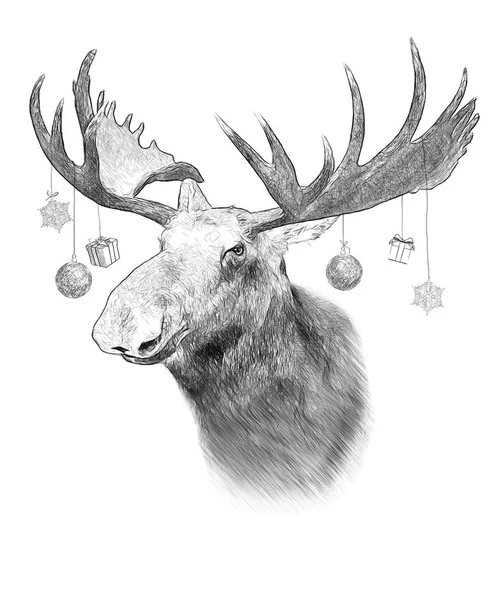 Moose White Background Illustration Draw Sketch Style Funny Christmas Humor — Stock Photo, Image