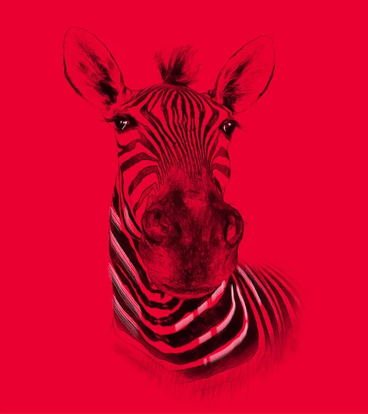 Zebra Červeném Pozadí Ilustrace Nakreslit Načrtnout Styl — Stock fotografie