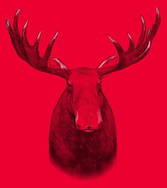 Moose on red background. Illustration in draw, sketch style. — Stock Photo, Image
