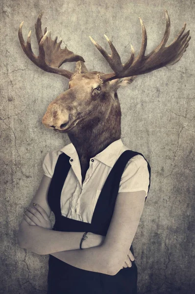 Moose în haine. Concept grafic în stil vintage . Imagini stoc fără drepturi de autor