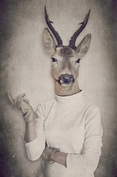 Cerf habillé. Concept graphique dans un style vintage . Images De Stock Libres De Droits