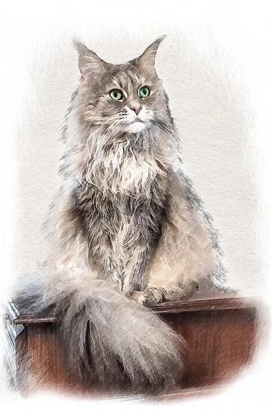 Cat Maine Coon. Ilustración en dibujo, estilo boceto — Foto de Stock