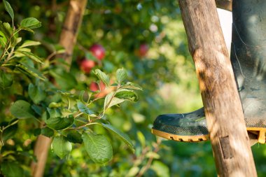Çiftçiler boots kahverengi ahşap merdiven