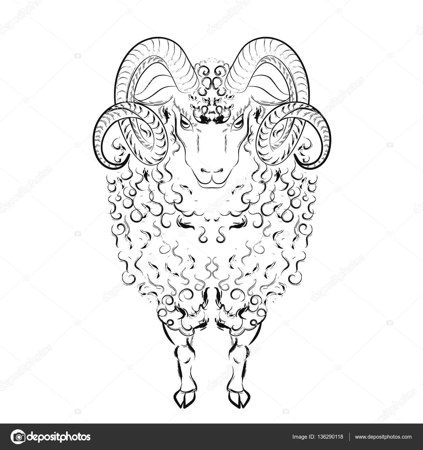 Pecore con blocchi di lana lungo e curvo lungo corna Illustrazione di vettore — Vettoriali di glite