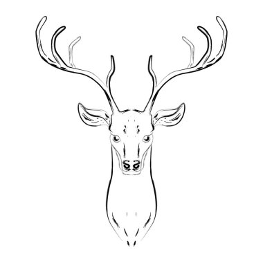 Erkek geyik boynuzları, baş