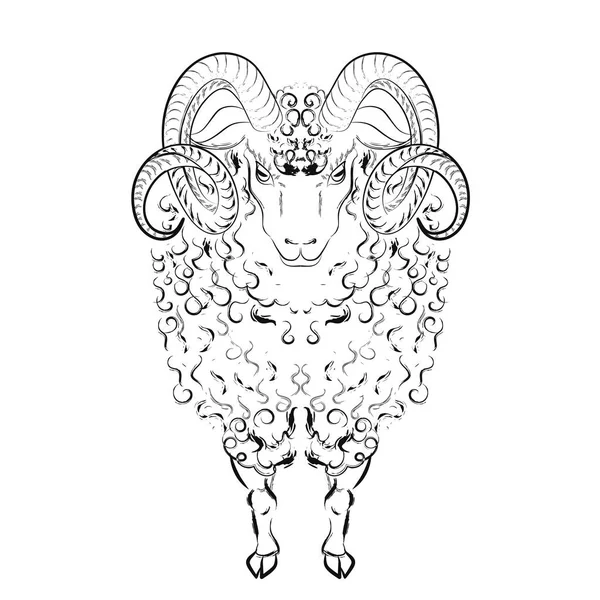 Sheep with long wool locks and curved horns. Vector illustration — Stock Vector