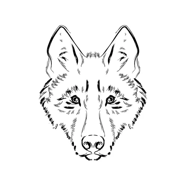 Eski siyah beyaz kurt