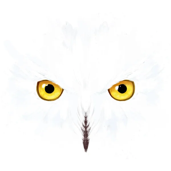 Sneeuwuil ogen en gezicht — Stockvector