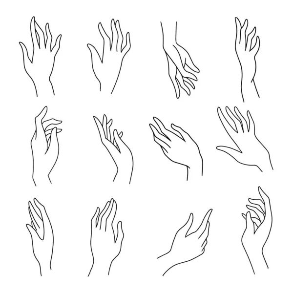 Set of simple female hands art drawings symbols or signs — Stock Vector