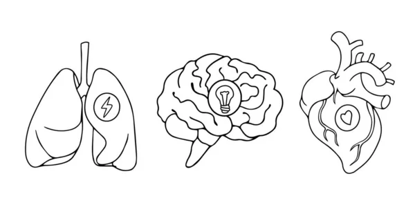 Disegno in stile line art, adesivi design di polmoni, cuori e cervelli icone disegno in bianco e nero — Vettoriale Stock