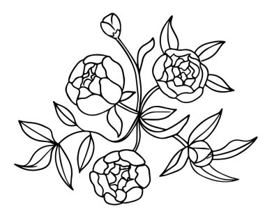 Beyaz arka planda izole edilmiş şakayık çiçeği buketi. Tasarım elementi. Elle çizilmiş hatlar ve vuruşlar.