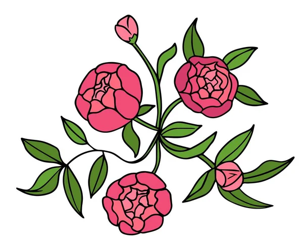 Παιώνια λουλούδι γραφικό χρώμα απομονωμένο σκίτσο μπουκέτο εικονογράφηση διάνυσμα Royalty Free Εικονογραφήσεις Αρχείου