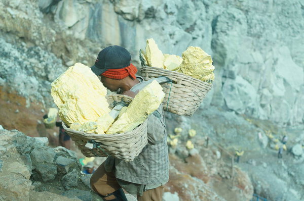 Sulfur miners ijen crater every day take a steep road with a load of 70-80 kilograms of sulfur.