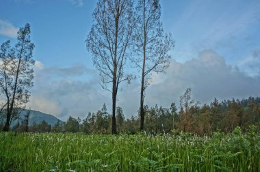 İjen dağ yamacının kendine has bir cazibesi ve serin bir atmosferi var. Ayrıca dağın altında uzanan güzel manzaranın yanı sıra..