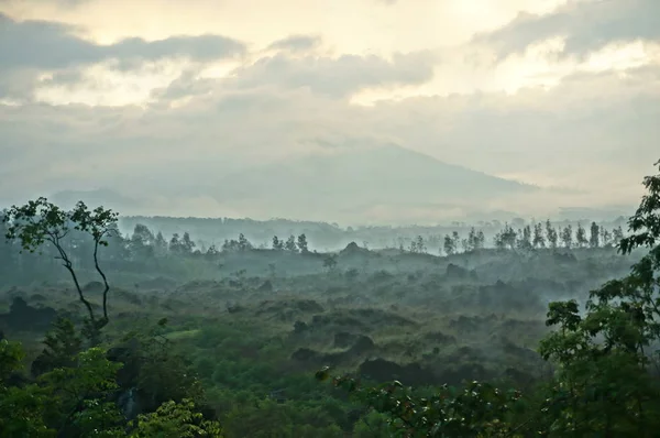 Ijen Berghelling Heeft Zijn Eigen Charme Met Een Koele Frisse — Stockfoto