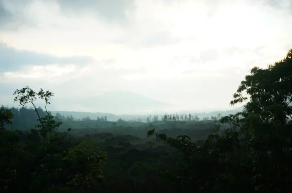 Ijen Berghanggebiet Hat Seinen Eigenen Charme Mit Einer Kühlen Und — Stockfoto