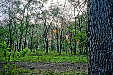 Köyün kıyısındaki vahşi doğa hala güzel ve sanayi bölgesi tarafından dokunulmamış.