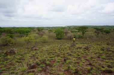 Dağın eteğinin altında birkaç ağaç olan plato bir zamanlar çorak bir yerdi.