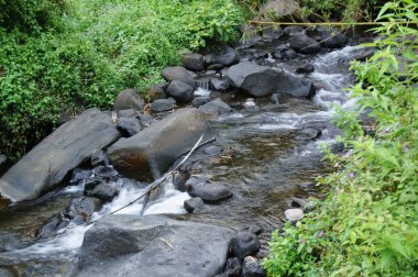 Oldukça ağır bir akıntıya sahip nehirler ve dağlardan gelen su kaynakları temiz bir su akışına sahiptir.