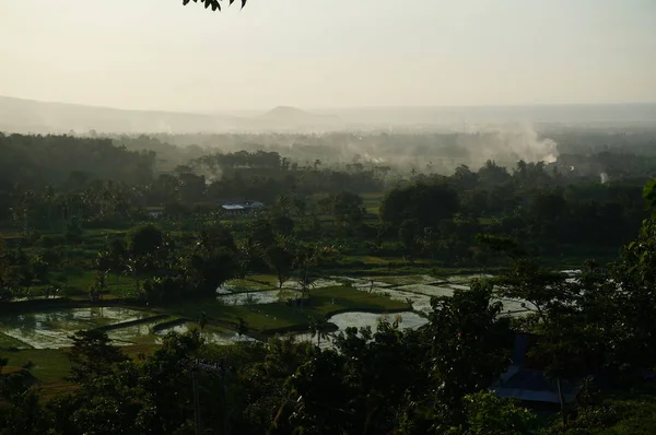Dağın eteğinin altında birkaç ağaç olan plato bir zamanlar çorak bir yerdi.