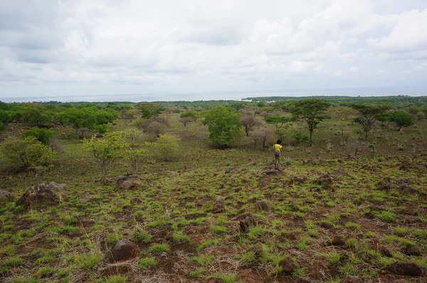 Dağın eteğinin altında birkaç ağaç olan plato bir zamanlar çorak bir yerdi.