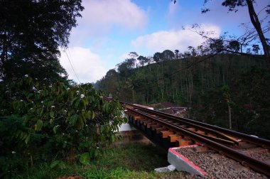 Demiryolu, demir ve beton iskelet kullanarak köprülerin üzerine inşa edilen trenler için bir ulaşım aracıdır.