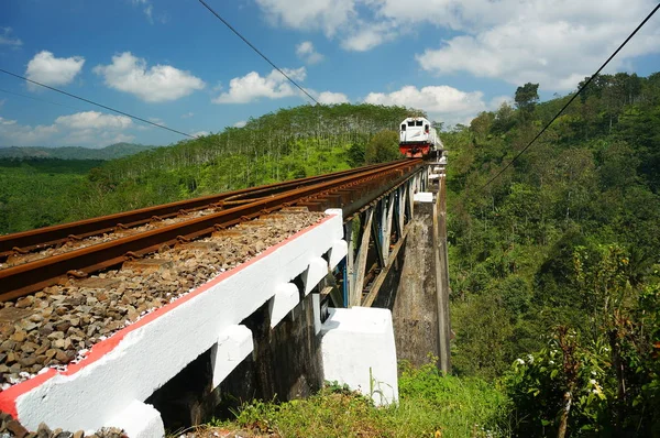 Railroad is a means of transportation for trains that are built on bridges using iron and a solid concrete frame