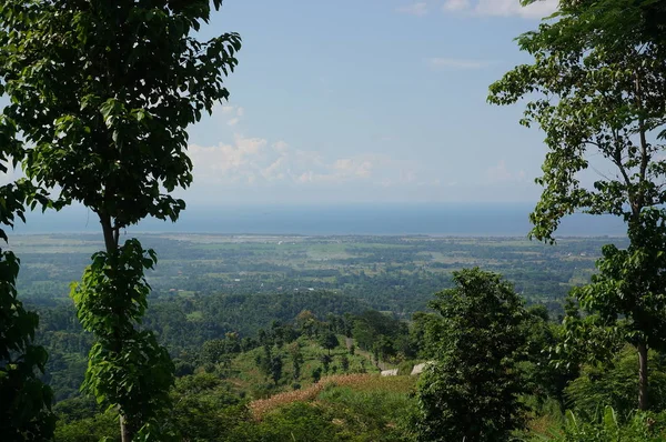 Plateau Avec Quelques Arbres Sous Pied Montagne Était Autrefois Une — Photo