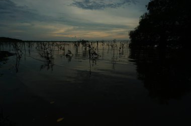 Akşamüstü kumsalda sular çekildiğinde