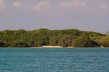 Akşamüstü kumsalda sular çekildiğinde