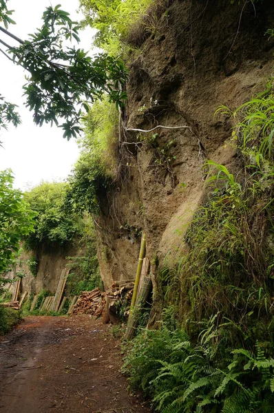 Ormanın ortasında bir patika ve bir uçuruma yaslanmış bir odun.