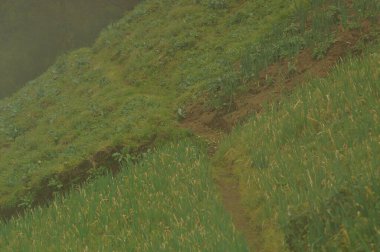 Pirinç tarlaları pirinç ekmek için sürülüp sulanan topraklardır. Çeltik tarlalarını sulamak için kaynak, nehir ve yağmur suyu sulama sistemleri kullanılır. Pirinç tarlaları dağın eteğinin altında..