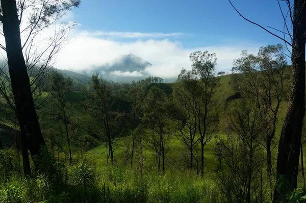 Dağın eteğinin altında birkaç ağaç olan plato bir zamanlar çorak bir yerdi.
