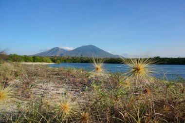 Sahilde beyaz kum ve mangrov bitkileri hala kalabalıktan saklanıyor.
