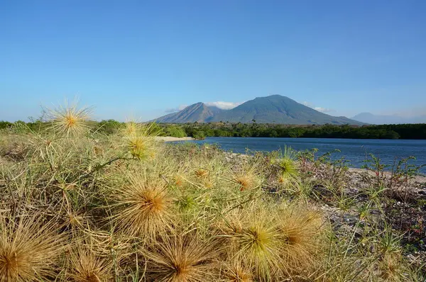 Pantai Dengan Pasir Putih Dan Tanaman Bakau Yang Masih Tersembunyi — Stok Foto