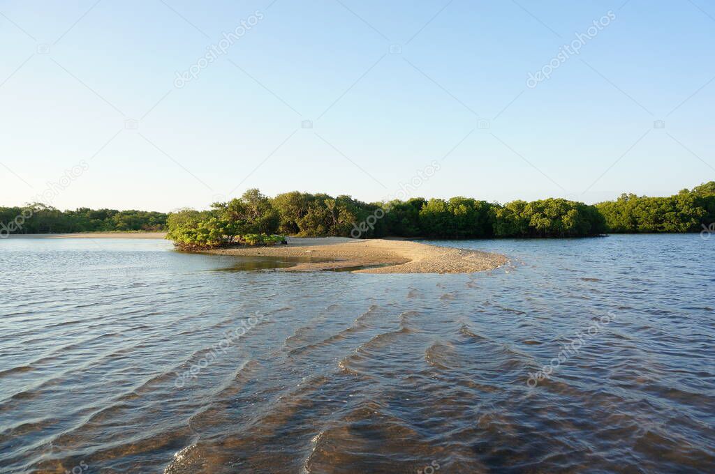 Beach with white sand and mangrove plants that are still hidden from the crowd