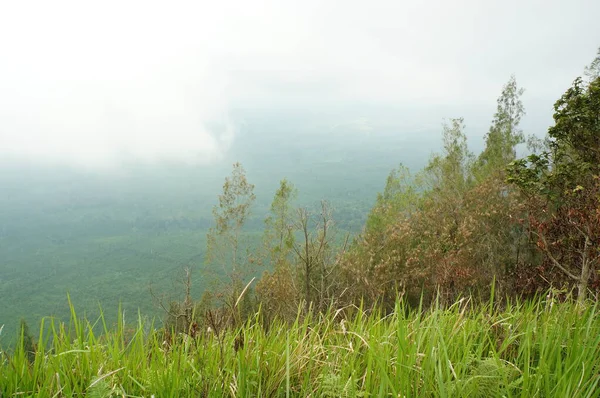 Plateau Avec Quelques Arbres Sous Pied Montagne Était Autrefois Une — Photo