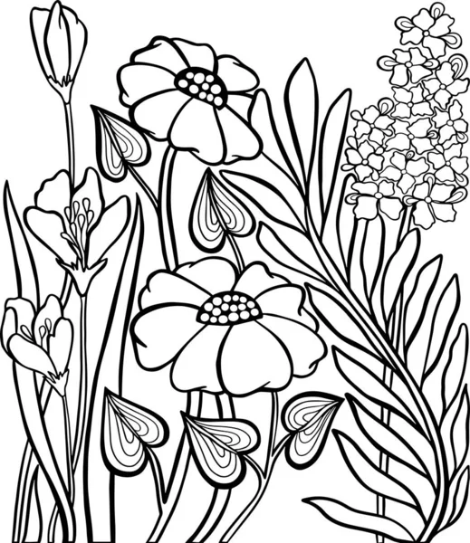 Contorno Color Naturaleza Flores Plantas Hierbas Margaritas Vector Ilustración Libro — Vector de stock