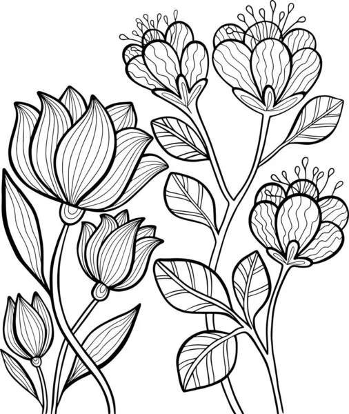 Flowers Coloring Book Graphic Nature Illustration Drawing Art Stroke Vector — Stock Vector