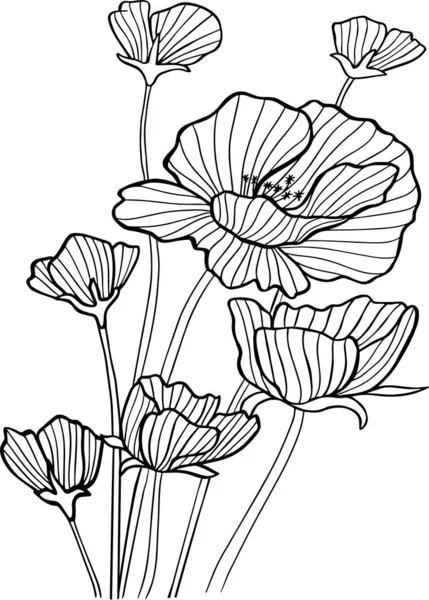 Pavot Fleurs Matériel Pour Carte Vœux Bannière Nature Graphique Isoler — Image vectorielle