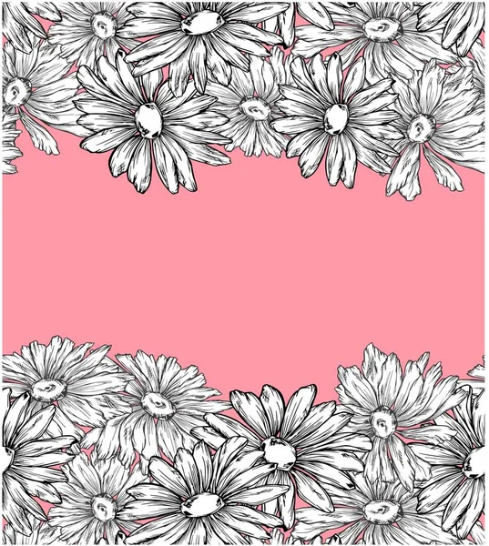 Bannière Sans Couture Camomille Fleur Plantes Médicinales Bordure Carte Postale — Image vectorielle