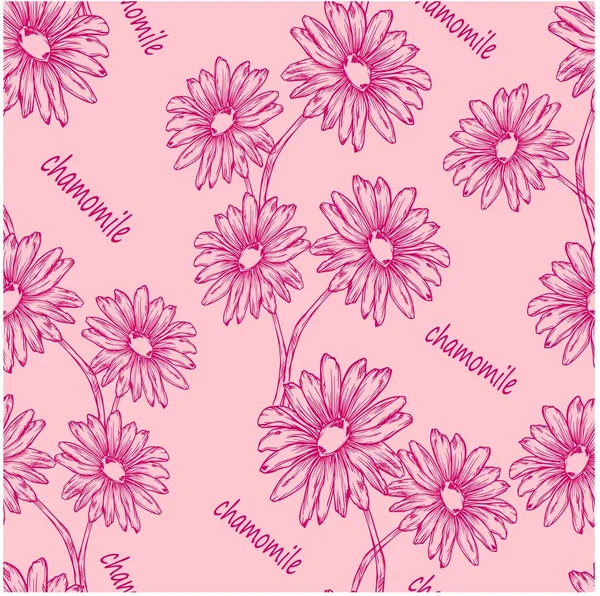 Marguerites Motif Uniforme Nature Plantes Vecteur Bouquets Fleurs Illustration Bannière — Image vectorielle