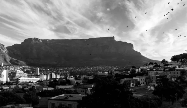 Güneşli bir günde Bo-Kaap ya da Malay 'dan Masa Dağı' nın arka planında görüntüler. Siyah beyaz filtrelenmiş. Duvar kağıdı kavramı.