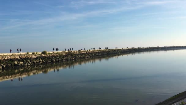 Gente caminando en un hermoso día soleado — Vídeo de stock