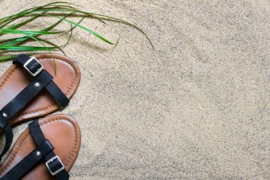 Sandaletler kumlu yüzeyde duruyor